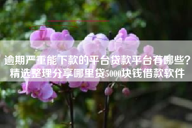 逾期严重能下款的平台贷款平台有哪些？精选整理分享哪里贷5000块钱借款软件