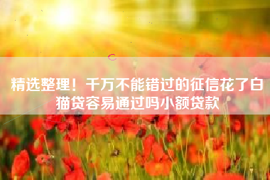 精选整理！千万不能错过的征信花了白猫贷容易通过吗小额贷款