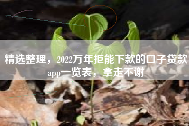 精选整理，2022万年拒能下款的口子贷款app一览表，拿走不谢