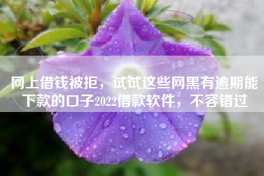 网上借钱被拒，试试这些网黑有逾期能下款的口子2022借款软件，不容错过