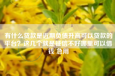 有什么贷款是近期负债升高可以贷款的平台？这几个就是征信不好哪里可以借钱 急用