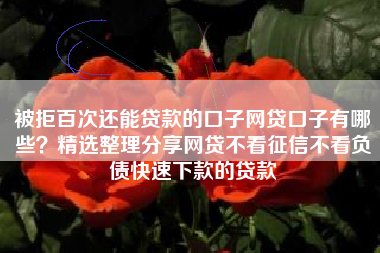 被拒百次还能贷款的口子网贷口子有哪些？精选整理分享网贷不看征信不看负债快速下款的贷款