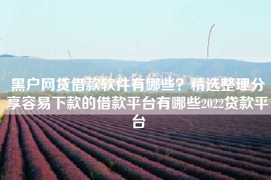 黑户网贷借款软件有哪些？精选整理分享容易下款的借款平台有哪些2022贷款平台