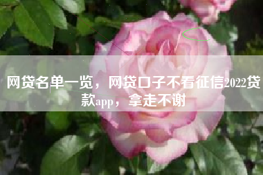 网贷名单一览，网贷口子不看征信2022贷款app，拿走不谢