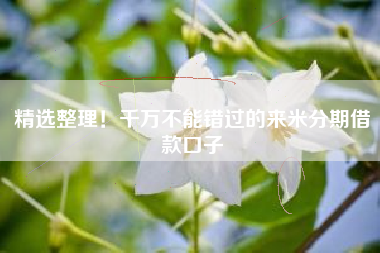 精选整理！千万不能错过的来米分期借款口子