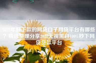2022年好下款的网贷口子网贷平台有哪些？精选整理分享2022无视黑白100%秒下网贷贷款平台