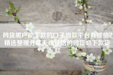 网贷黑户能下款的口子借款平台有哪些？精选整理分享无视征信的网贷必下款贷款