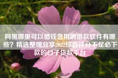 网黑哪里可以借钱急用啊借款软件有哪些？精选整理分享2022综合评分不足必下款的口子贷款平台