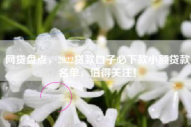 网贷盘点，2022贷款口子必下款小额贷款名单，值得关注！