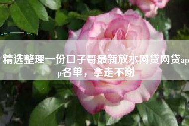 精选整理一份口子哥最新放水网贷网贷app名单，拿走不谢