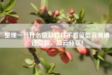 整理一份什么贷款软件不看征信容易通过贷款，简云分享！