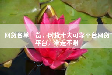网贷名单一览，网贷十大可靠平台网贷平台，拿走不谢