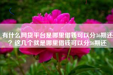 有什么网贷平台是哪里借钱可以分36期还？这几个就是哪里借钱可以分36期还