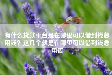 有什么贷款平台是在哪里可以借到钱急用钱？这几个就是在哪里可以借到钱急用钱