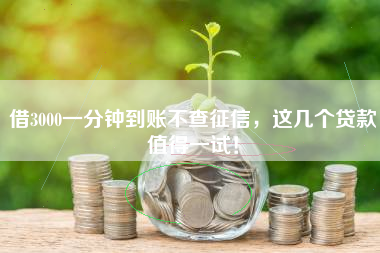 借3000一分钟到账不查征信，这几个贷款值得一试！