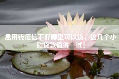 急用钱征信不好哪里可以贷，这几个小额贷款值得一试！