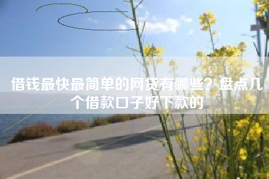 借钱最快最简单的网贷有哪些？盘点几个借款口子好下款的