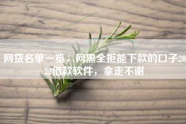 网贷名单一览，网黑全拒能下款的口子2022借款软件，拿走不谢