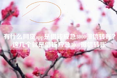 有什么网贷app是借钱应急3000微信转账？这几个就是借钱应急3000微信转账