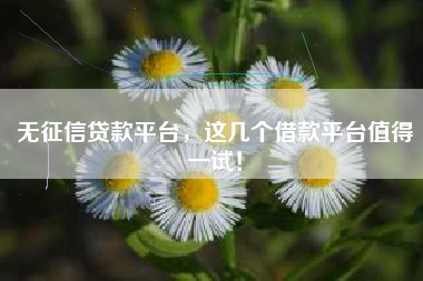 无征信贷款平台，这几个借款平台值得一试！