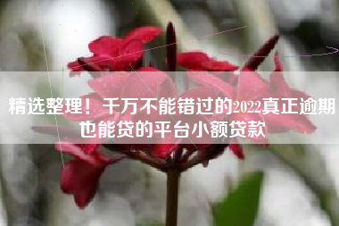 精选整理！千万不能错过的2022真正逾期也能贷的平台小额贷款