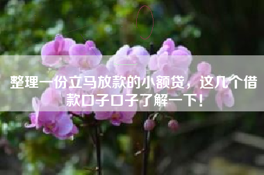 整理一份立马放款的小额贷，这几个借款口子口子了解一下！