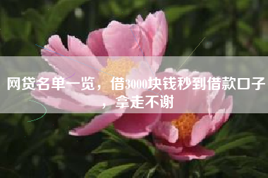 网贷名单一览，借3000块钱秒到借款口子，拿走不谢