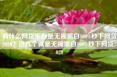 有什么网贷平台是无视黑白100%秒下网贷2020？这几个就是无视黑白100%秒下网贷2020