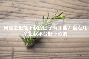 网黑全拒能下款的口子有哪些？盘点几个贷款平台好下款的