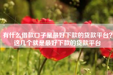 有什么借款口子是最好下款的贷款平台？这几个就是最好下款的贷款平台