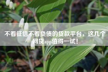 不看征信不看负债的贷款平台，这几个网贷app值得一试！