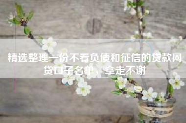 精选整理一份不看负债和征信的贷款网贷口子名单，拿走不谢