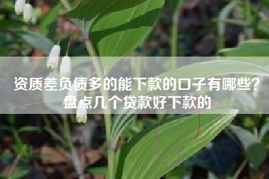 资质差负债多的能下款的口子有哪些？盘点几个贷款好下款的