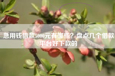 急用钱借款5000元有哪些？盘点几个借款平台好下款的