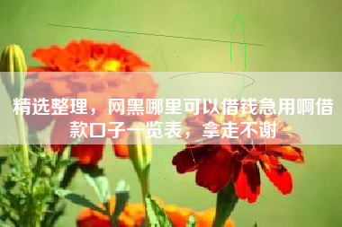 精选整理，网黑哪里可以借钱急用啊借款口子一览表，拿走不谢