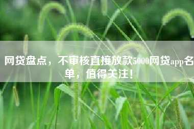 网贷盘点，不审核直接放款5000网贷app名单，值得关注！
