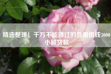 精选整理！千万不能错过的急需借钱3000小额贷款