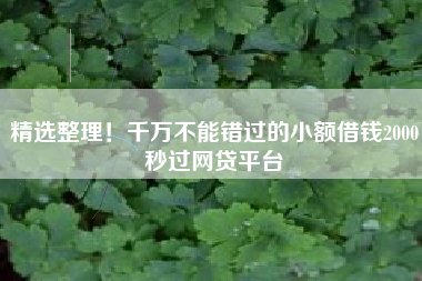 精选整理！千万不能错过的小额借钱2000秒过网贷平台