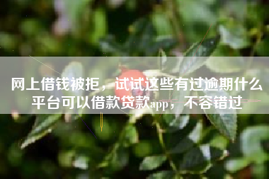 网上借钱被拒，试试这些有过逾期什么平台可以借款贷款app，不容错过
