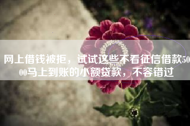 网上借钱被拒，试试这些不看征信借款5000马上到账的小额贷款，不容错过