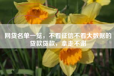 网贷名单一览，不看征信不看大数据的贷款贷款，拿走不谢