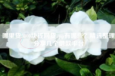哪里贷5000块钱网贷app有哪些？精选整理分享几个借款平台