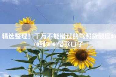 精选整理！千万不能错过的驾照贷额度8000到50000借款口子