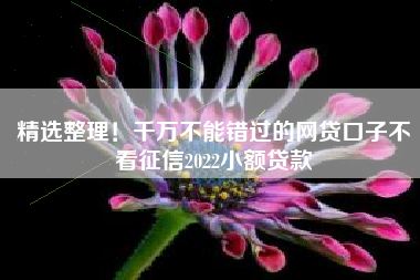 精选整理！千万不能错过的网贷口子不看征信2022小额贷款