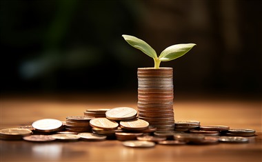 征信太花秒下的贷款有哪些？盘点5个征信花比较好下款的贷款征信太花秒下的贷款有哪些？盘点5个征信花比较好下款的贷款