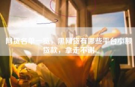 网贷名单一览，黑网贷有哪些平台小额贷款，拿走不谢