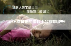 2022不查征信的借款平台都有哪些?