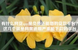 有什么网贷app是负债还能借的贷款平台？这几个就是网黑逾期严重能下款的平台