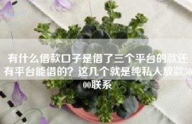 有什么借款口子是借了三个平台的款还有平台能借的？这几个就是纯私人放款5000联系