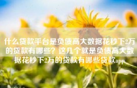什么贷款平台是负债高大数据花秒下2万的贷款有哪些？这几个就是负债高大数据花秒下2万的贷款有哪些贷款app